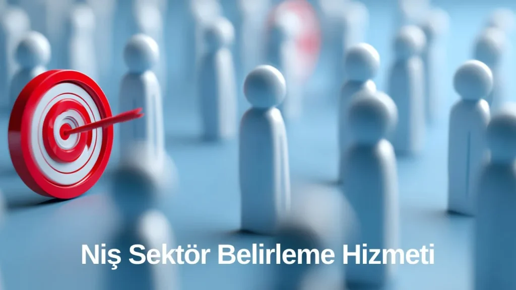 Niş Sektör Belirleme Hizmeti - Dijimetrik